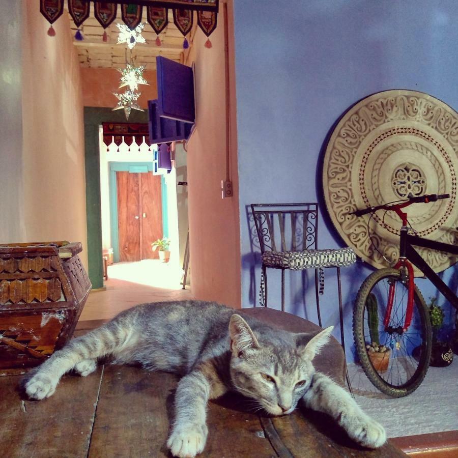 Lola Atlachinolli Sayulita Extérieur photo
